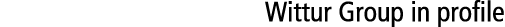 Wittur Group in profile