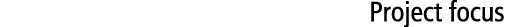 Project focus